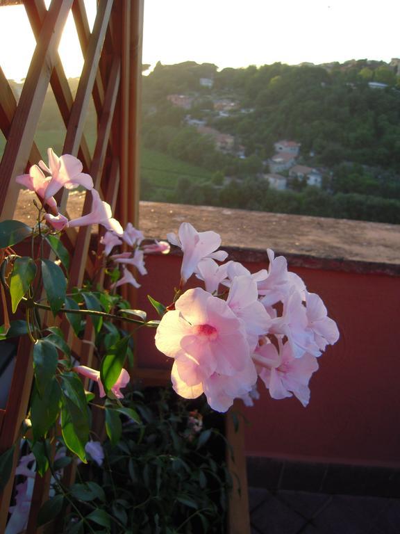 Casa Vacanze Palazzo Primoli Ariccia Εξωτερικό φωτογραφία